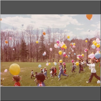 Unable to load Image